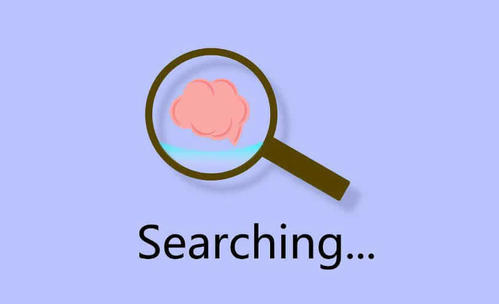 如何结合搜索引擎原理优化自身站内搜索？