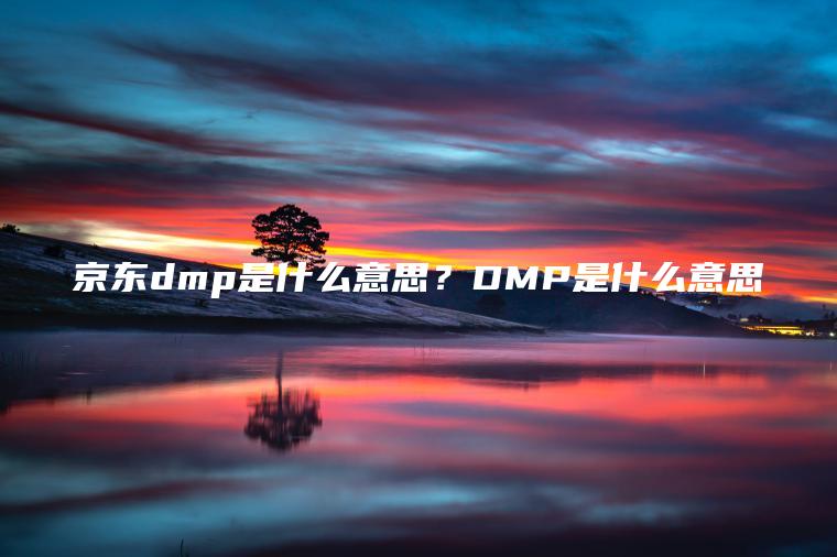 京东dmp是什么意思？DMP是什么意思