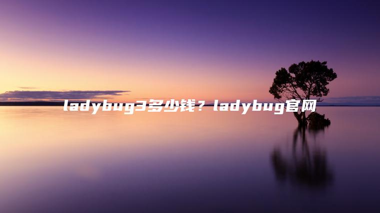 ladybug3多少钱？ladybug官网