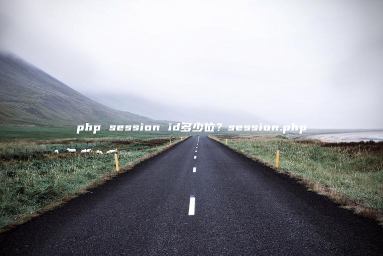 php session id多少位？session.php