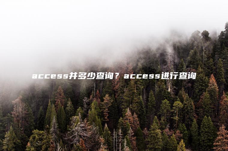 access并多少查询？access进行查询